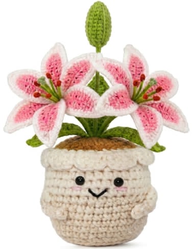 Pink Lily Pot